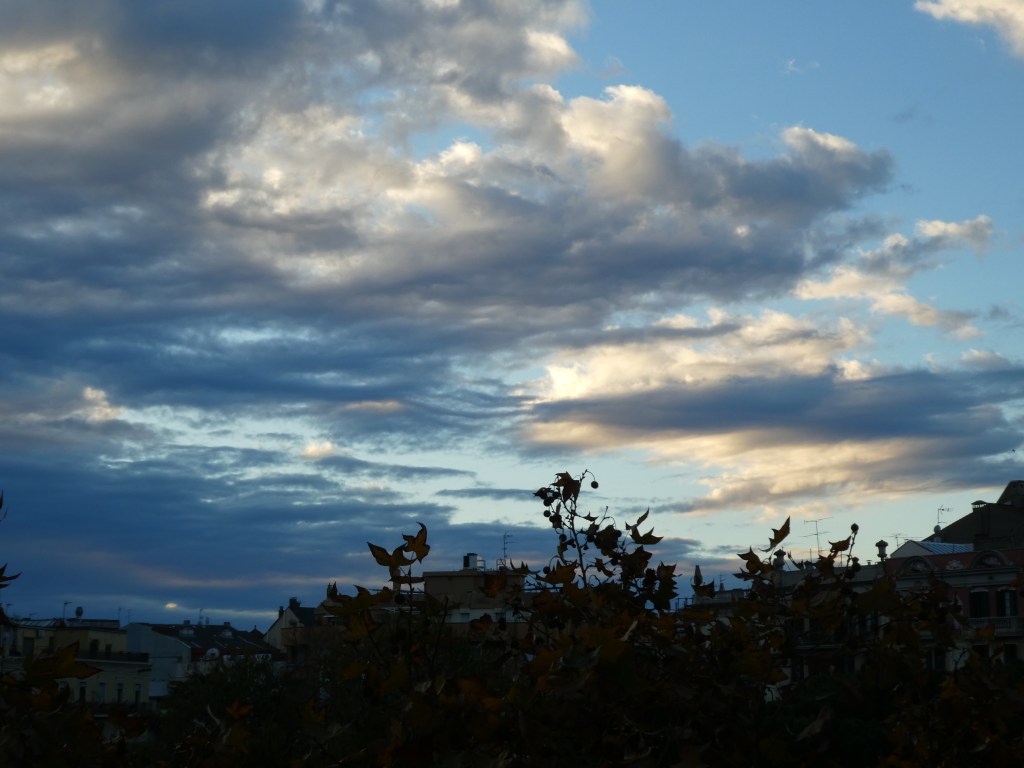 “ENYOR”, d’Àngels Blasco Ros