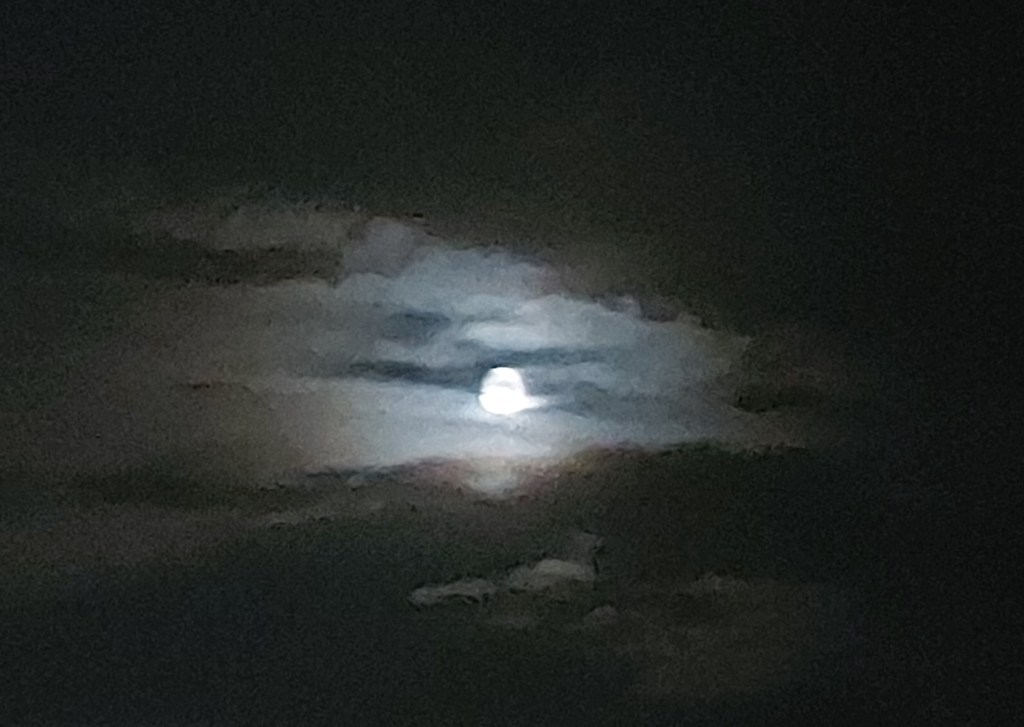 TERROR: LA NARRATIVA DE LA POR