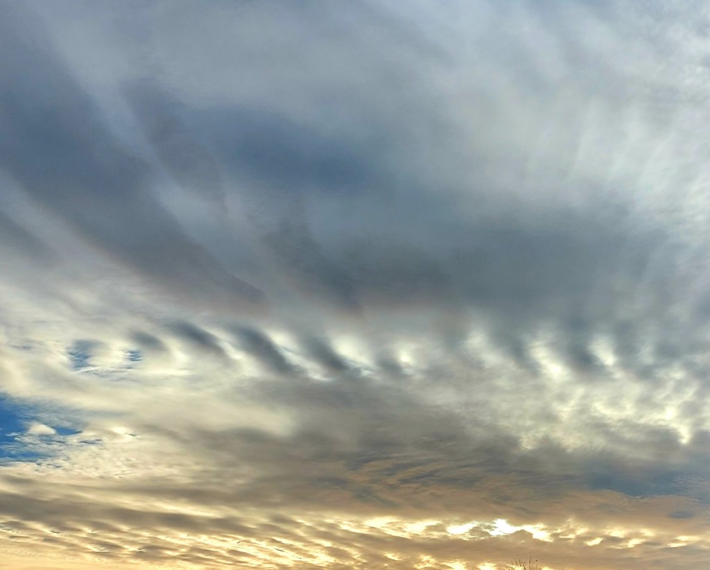 CANVI CLIMÀTIC: Que ve el&nbsp;llop!