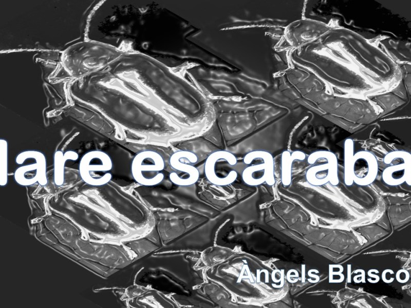 Relats en català: “MARE&nbsp;ESCARABAT”