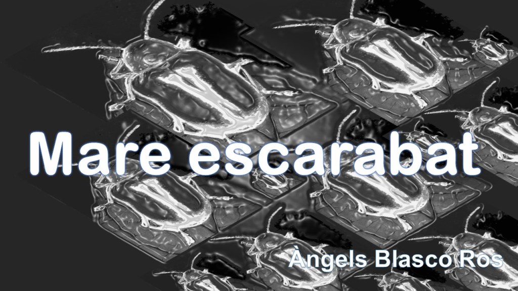 Relats en català: “MARE ESCARABAT”